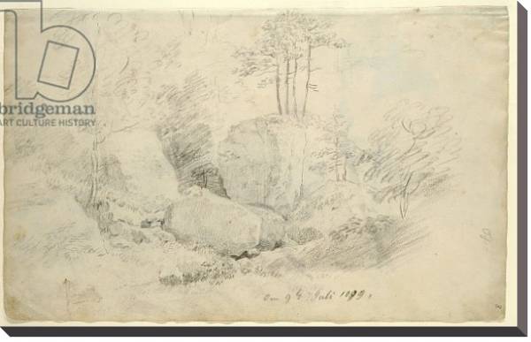 Постер Boulders in Woodland, 1800 с типом исполнения На холсте без рамы