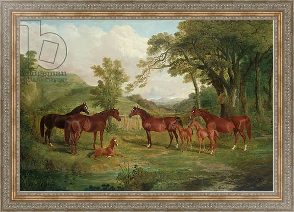 Постер The Streatlam Stud, Mares and Foals, 1836 с типом исполнения На холсте в раме в багетной раме 484.M48.310