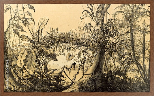 Постер Природа Южной Америки 26 с типом исполнения На холсте в раме в багетной раме 1727.4310