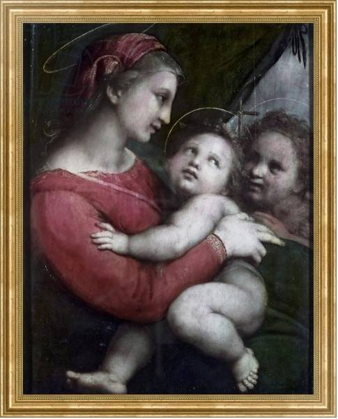 Постер Madonna della Tenda, c.1512 с типом исполнения На холсте в раме в багетной раме NA033.1.051