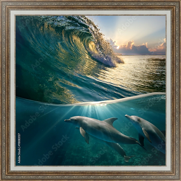 Постер Стайка дельфинов под волной с типом исполнения На холсте в раме в багетной раме 595.M52.330