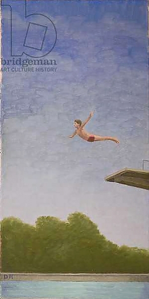 Постер High Diver с типом исполнения На холсте без рамы