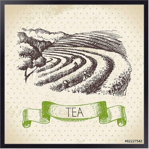 Постер Иллюстрация с чайными плантациями с типом исполнения На холсте в раме в багетной раме 221-01