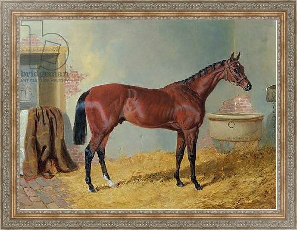 Постер Mr S. Wrather's 'Nutwith' in a stable с типом исполнения На холсте в раме в багетной раме 484.M48.310