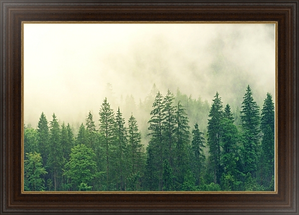 Постер Зеленый лес под дождем с типом исполнения На холсте в раме в багетной раме 1.023.151