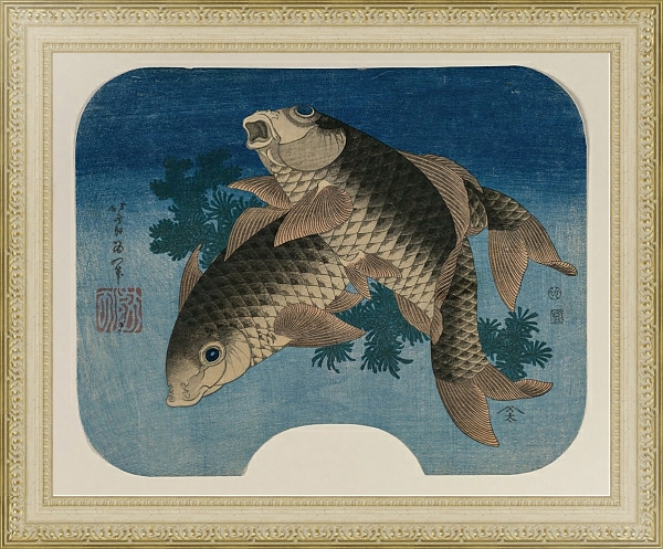 Постер Carp Swimming by Water Weeds с типом исполнения Акварель в раме в багетной раме 484.M48.725