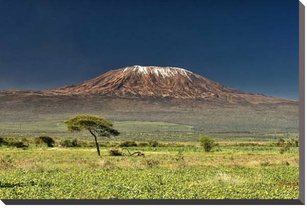 Постер Килиманджаро с типом исполнения На холсте без рамы