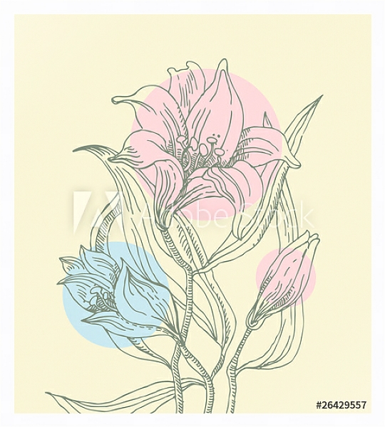 Постер Лилии и цветные круги с типом исполнения На холсте в раме в багетной раме 221-03