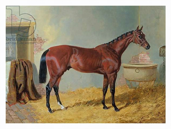 Постер Mr S. Wrather's 'Nutwith' in a stable с типом исполнения На холсте в раме в багетной раме 221-03