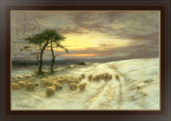 Постер Sheep in the Snow 1 с типом исполнения На холсте в раме в багетной раме 1.023.151