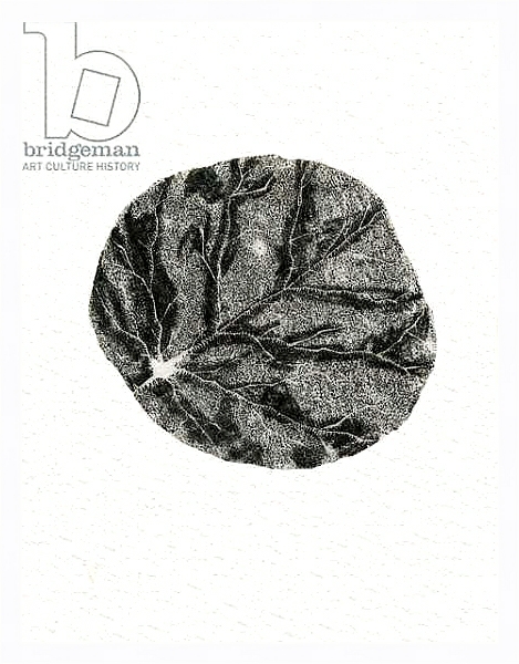 Постер Leaf, 2014 с типом исполнения На холсте в раме в багетной раме 221-03