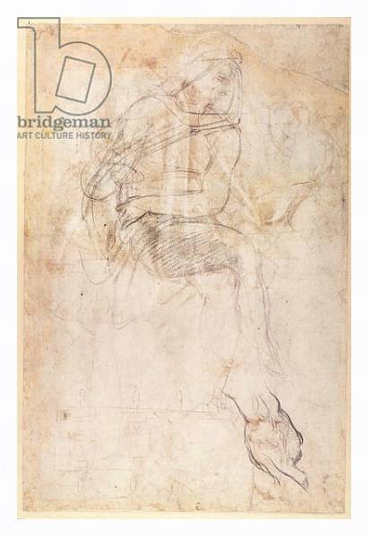 Постер Study for the Ignudi above the Persian Sibyl in the Sistine Chapel, 1508-12 с типом исполнения На холсте в раме в багетной раме 221-03