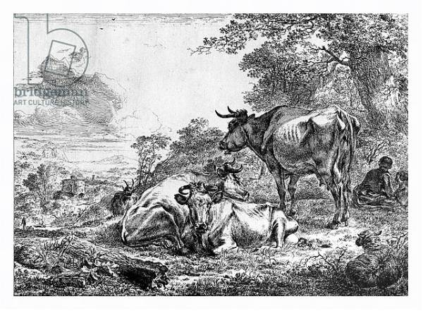 Постер Three Cows с типом исполнения На холсте в раме в багетной раме 221-03