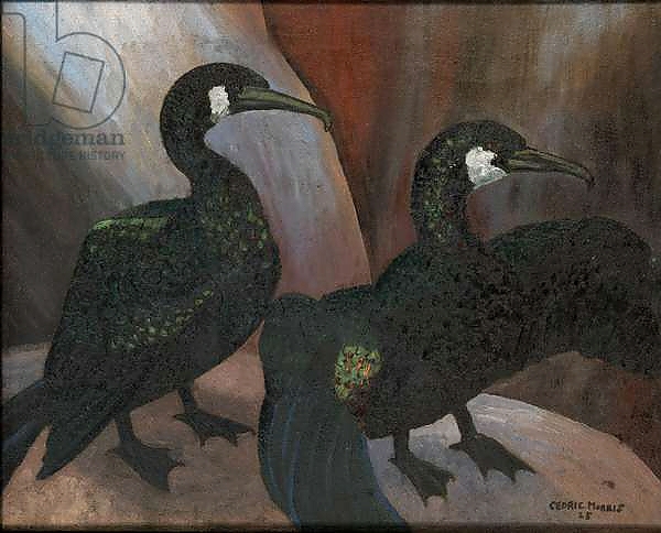 Постер Green Cormorants, 1925 с типом исполнения На холсте без рамы