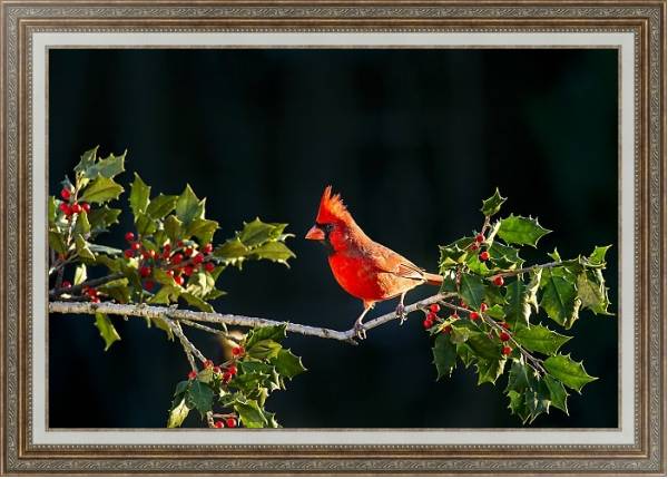Постер Красная птица на ветке я красными ягодами с типом исполнения На холсте в раме в багетной раме 595.M52.330
