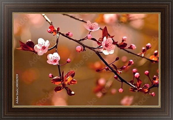 Постер Ветки цветущей сакуры в красных оттенках с типом исполнения На холсте в раме в багетной раме 1.023.151