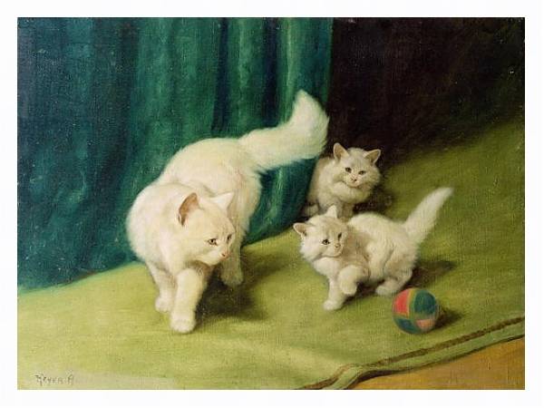 Постер White Persian Cat with Two Kittens с типом исполнения На холсте в раме в багетной раме 221-03