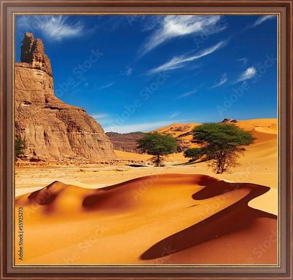 Постер Пустыня Сахара, Алжир с типом исполнения На холсте в раме в багетной раме 35-M719P-83