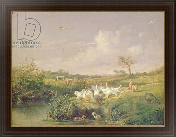 Постер Geese Grazing, 1854 с типом исполнения На холсте в раме в багетной раме 1.023.151