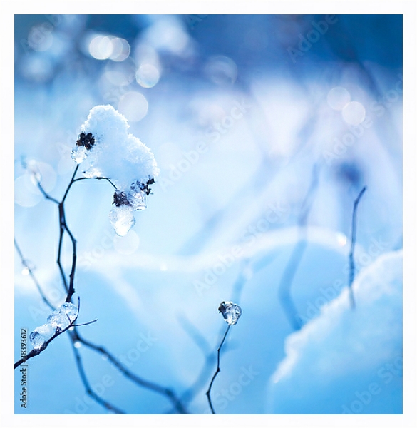 Постер Красивая зима с типом исполнения На холсте в раме в багетной раме 221-03