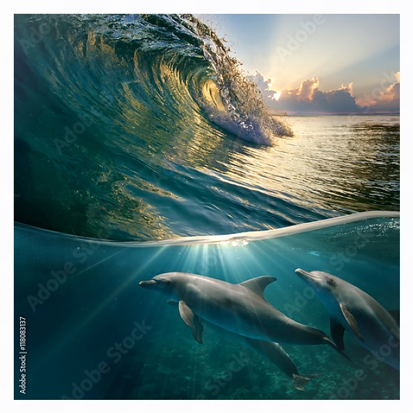 Постер Стайка дельфинов под волной с типом исполнения На холсте в раме в багетной раме 221-03