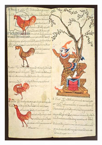 Постер CBL Thi 1302 Two pages illustrating the Year of the Cockerel, from a fortune-telling manual, c.1840 с типом исполнения На холсте в раме в багетной раме 221-03