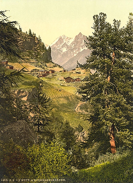 Постер Швейцария. Долина в Альпах с типом исполнения На холсте без рамы