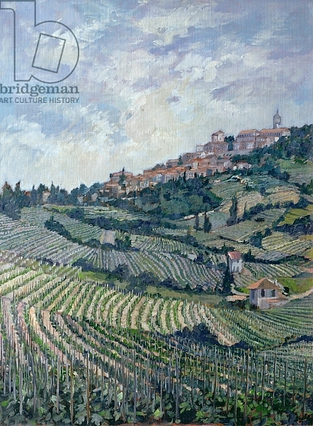 Постер Vineyards, Tuscany с типом исполнения На холсте без рамы