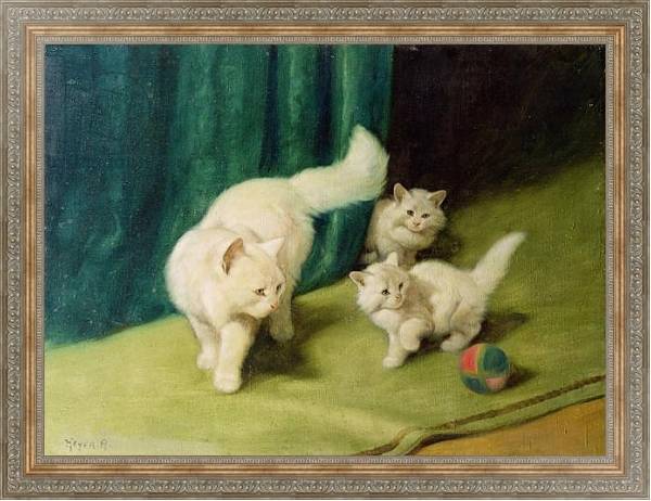 Постер White Persian Cat with Two Kittens с типом исполнения На холсте в раме в багетной раме 484.M48.310