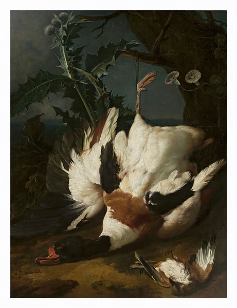 Постер Dead drake с типом исполнения На холсте в раме в багетной раме 221-03