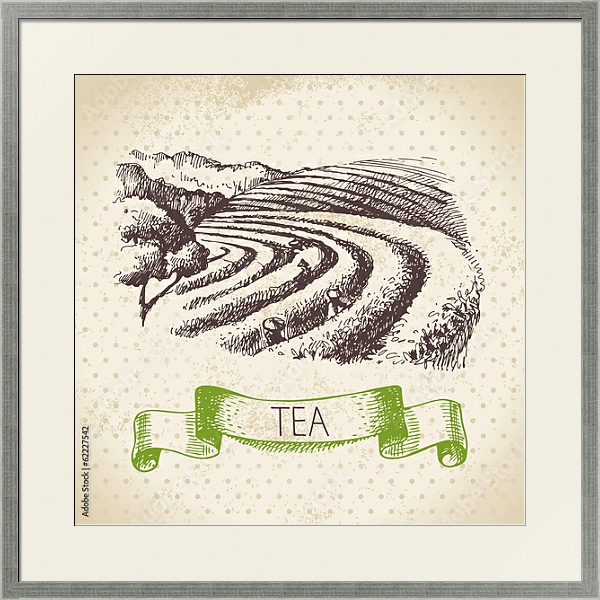 Постер Иллюстрация с чайными плантациями с типом исполнения Под стеклом в багетной раме 1727.2510