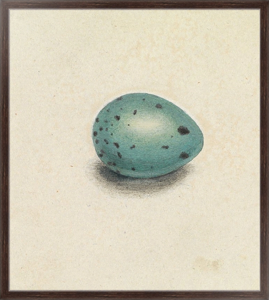 Постер A Bird’s Egg с типом исполнения На холсте в раме в багетной раме 221-02
