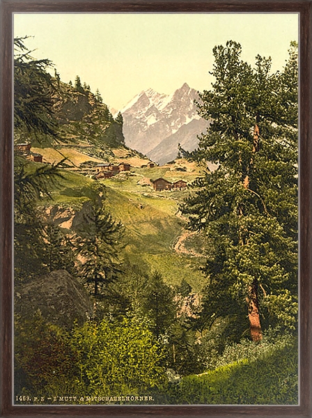 Постер Швейцария. Долина в Альпах с типом исполнения На холсте в раме в багетной раме 221-02