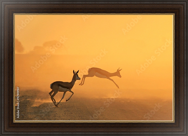Постер Скачущие антилопы на закате в прерии с типом исполнения На холсте в раме в багетной раме 1.023.151
