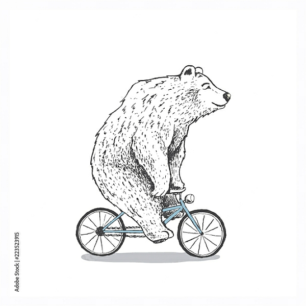 Постер Белый медведь на велосипеде с типом исполнения На холсте в раме в багетной раме 221-03