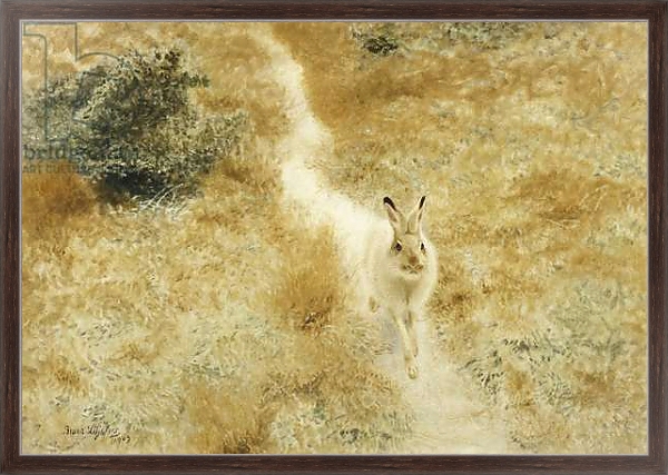 Постер A Winter-Hare in a Landscape, 1909 с типом исполнения На холсте в раме в багетной раме 221-02