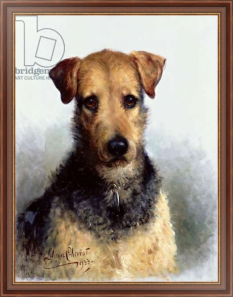 Постер Wire Fox Terrier, 1933 с типом исполнения На холсте в раме в багетной раме 35-M719P-83