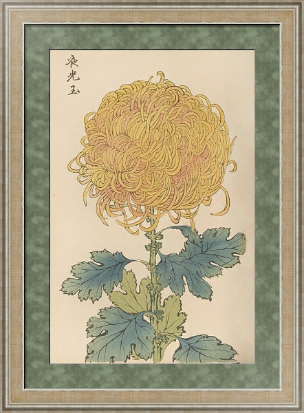 Постер Keika hyakugiku, Pl.31 с типом исполнения Акварель в раме в багетной раме 485.M40.584