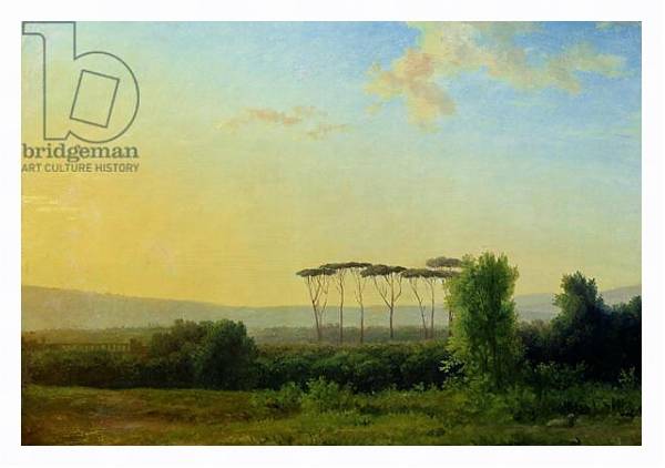 Постер Roman Countryside с типом исполнения На холсте в раме в багетной раме 221-03