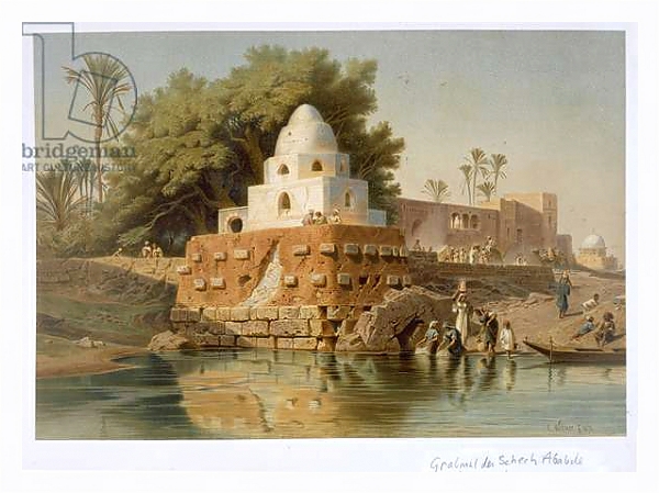 Постер Tomb of Sheikh Ababda in Minya, Middle Egypt, 1871 с типом исполнения На холсте в раме в багетной раме 221-03
