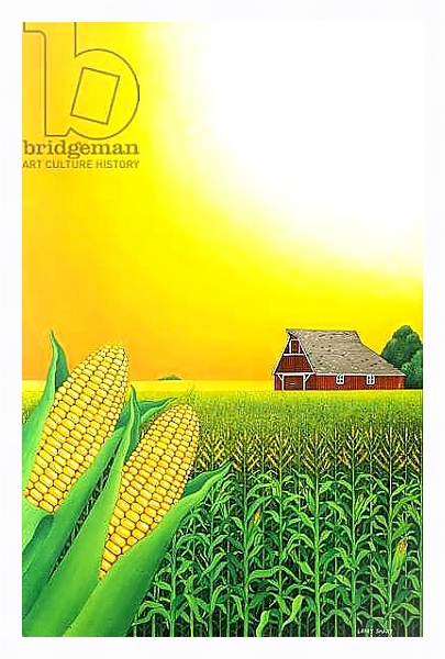 Постер Nebraska Cornfield, 1993 с типом исполнения На холсте в раме в багетной раме 221-03
