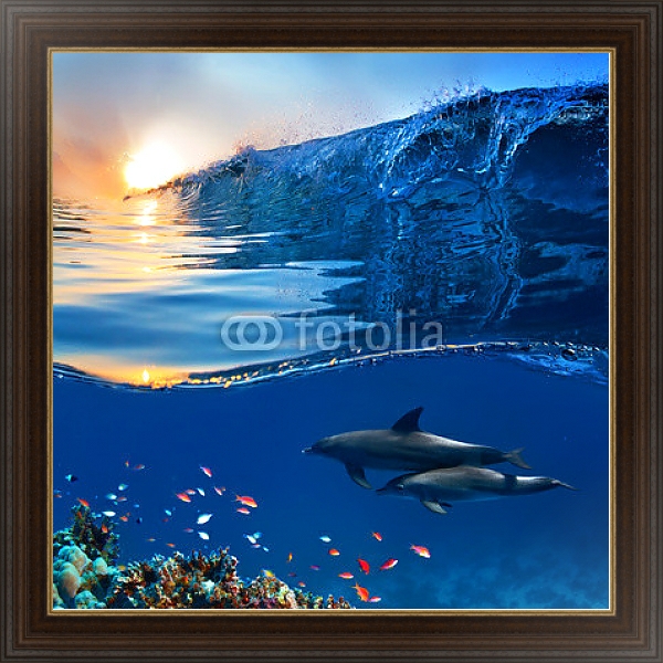Постер Два дельфина у кораллового рифа с типом исполнения На холсте в раме в багетной раме 1.023.151