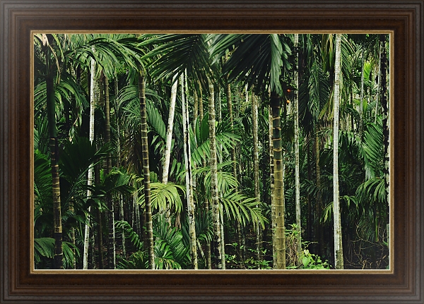 Постер Тропический бамбуковый лес с типом исполнения На холсте в раме в багетной раме 1.023.151