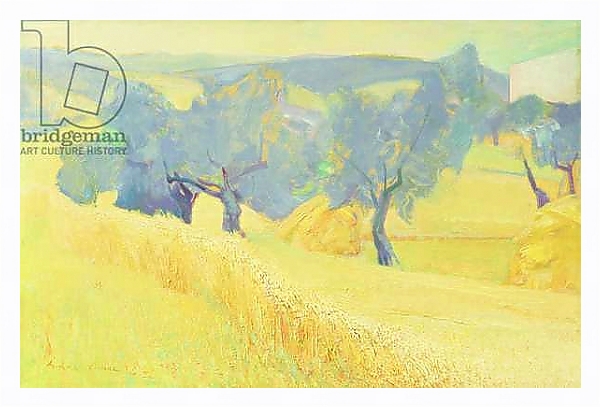 Постер Olive Trees in Tuscany, 1966 с типом исполнения На холсте в раме в багетной раме 221-03