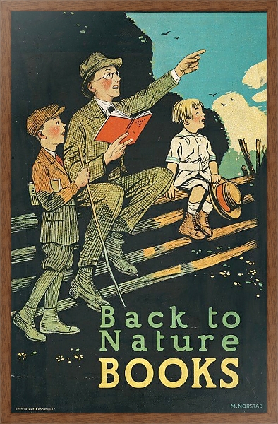 Постер Back to nature books с типом исполнения На холсте в раме в багетной раме 1727.4310