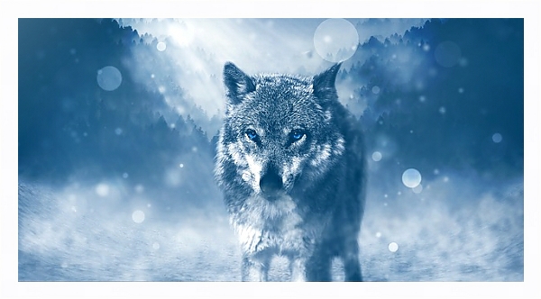 Постер Волк на фоне снежного леса с типом исполнения На холсте в раме в багетной раме 221-03
