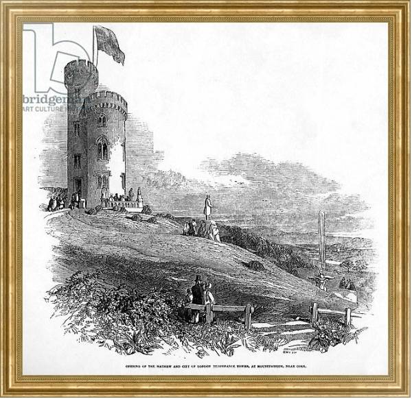 Постер Opening of the Mathew and City of London Temperance Tower, at Mount Patrick, near Cork, 1846 с типом исполнения На холсте в раме в багетной раме NA033.1.051
