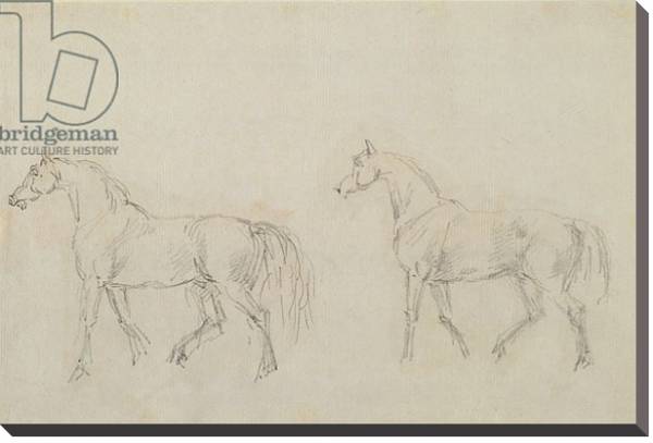 Постер Two horses walking left с типом исполнения На холсте без рамы