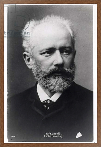 Постер Piotr Ilyich Tchaikovsky 1 с типом исполнения На холсте в раме в багетной раме 1727.4310