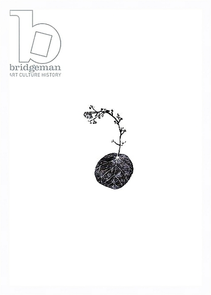Постер Tug, 2014 с типом исполнения На холсте в раме в багетной раме 221-03